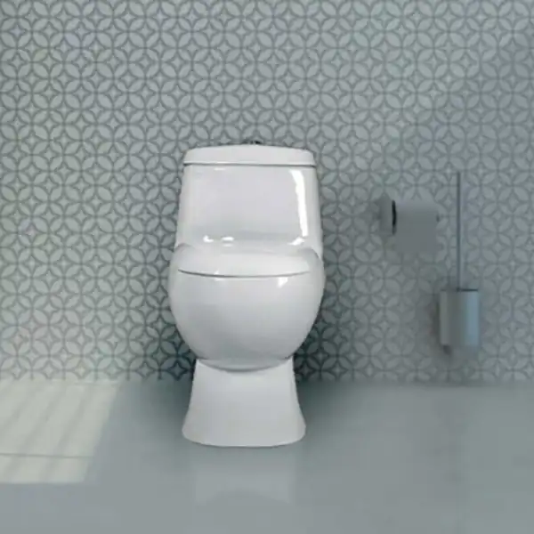 توالت فرنگی گلسار مدل پارمیس بیده دار