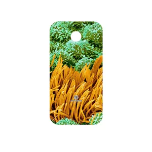 MAHOOT Atom Universe 6 Cover Sticker for Huawei Ascend Y330