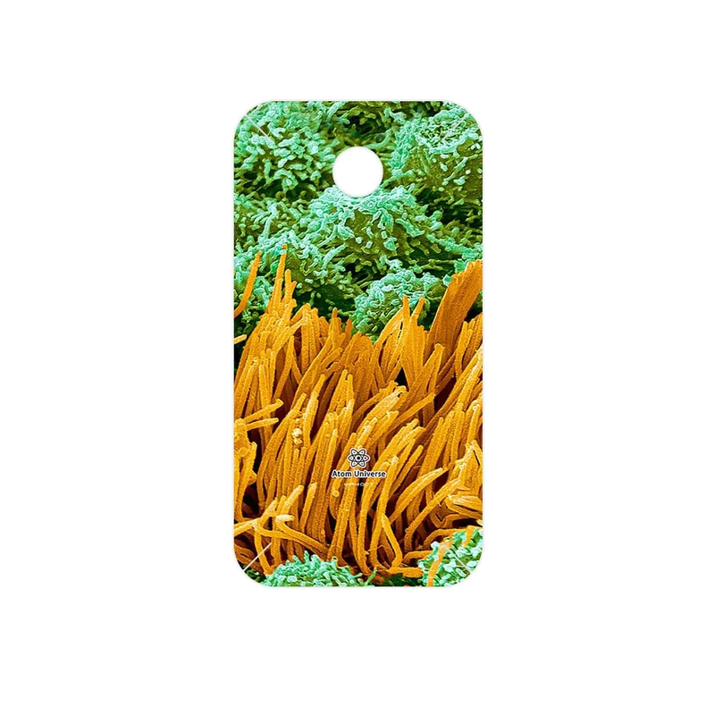 برچسب پوششی ماهوت مدل Atom Universe 6 مناسب برای گوشی موبایل هوآوی Ascend Y330