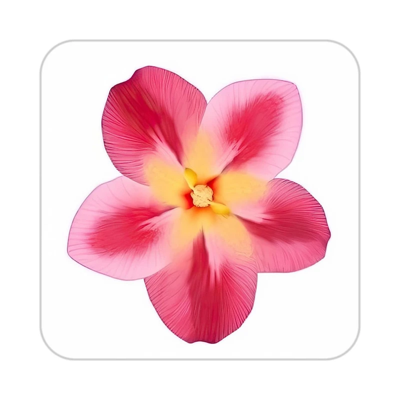 زیر لیوانی کاکتی طرح گل مدل mp17562