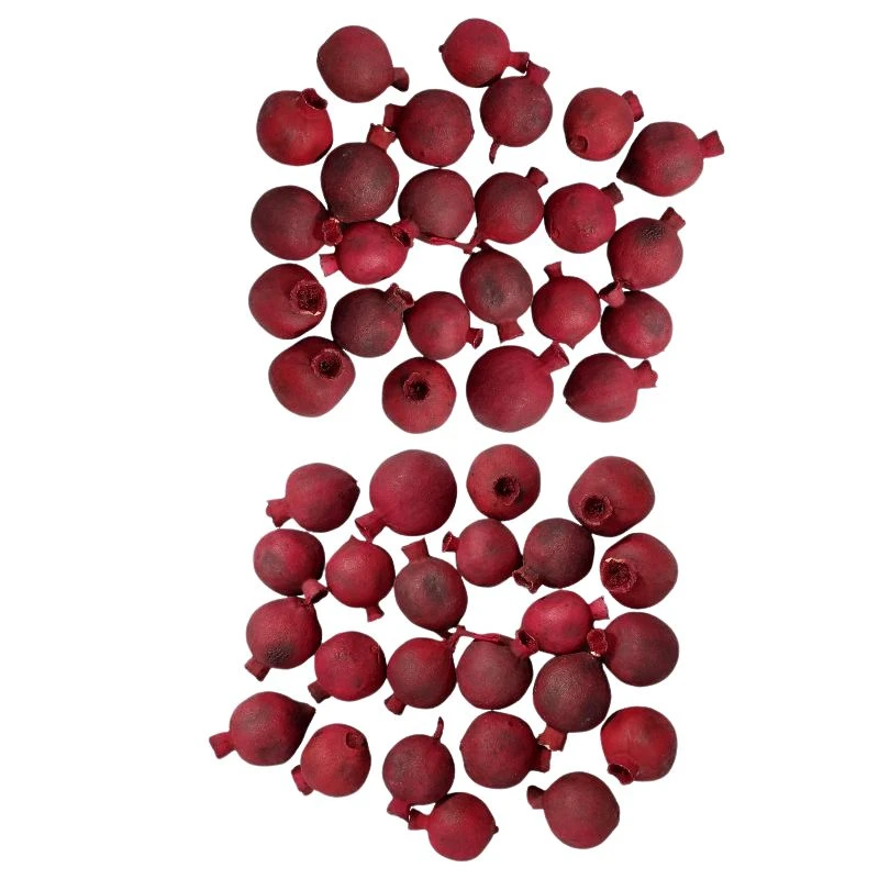 دکوری مدل انار خشک کد 20397 مجموعه 50 عددی