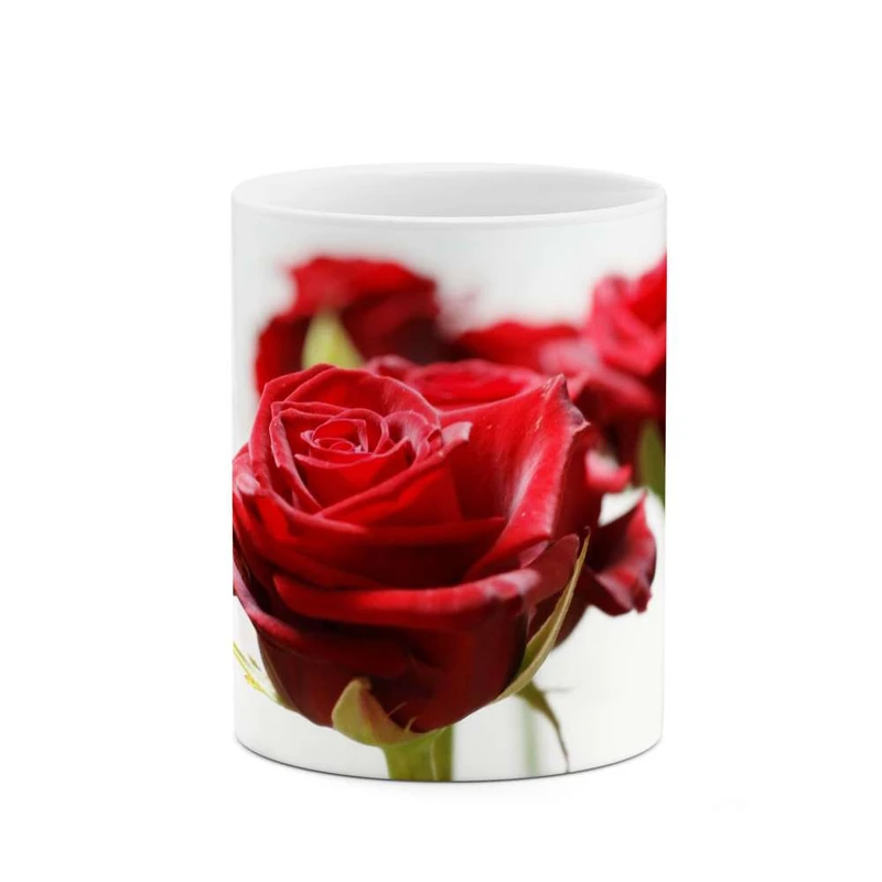 ماگ کاکتی مدل گل رز کد mgh12101