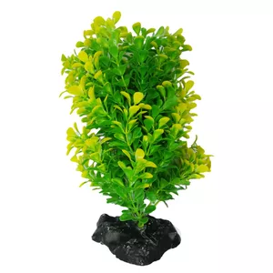 گیاه تزیینی آکواریوم مدل بوته ای کد 2130