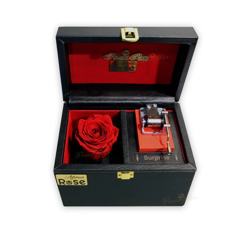 گل رزجاودان مدل موزيكال چمدان