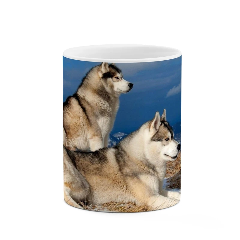 ماگ کاکتی طرح روباه کد mgp11529