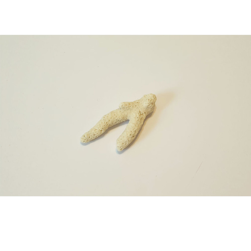 مرجان تزیینی آکواریوم مدل lde32 مجموعه 5 عددی