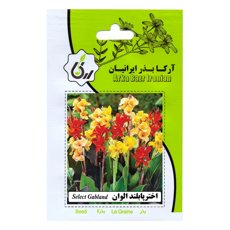 بذر گل اختر پابلند الوان آرکا بذر ایرانیان کد ARK-105