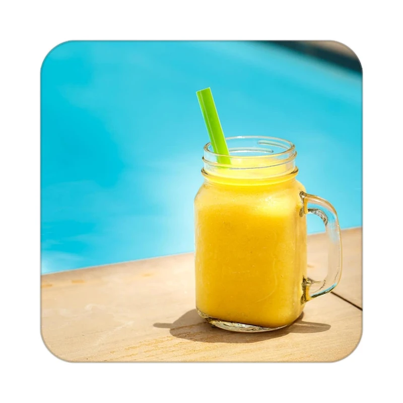 زیر لیوانی کاکتی طرح میوه مدل mp22099