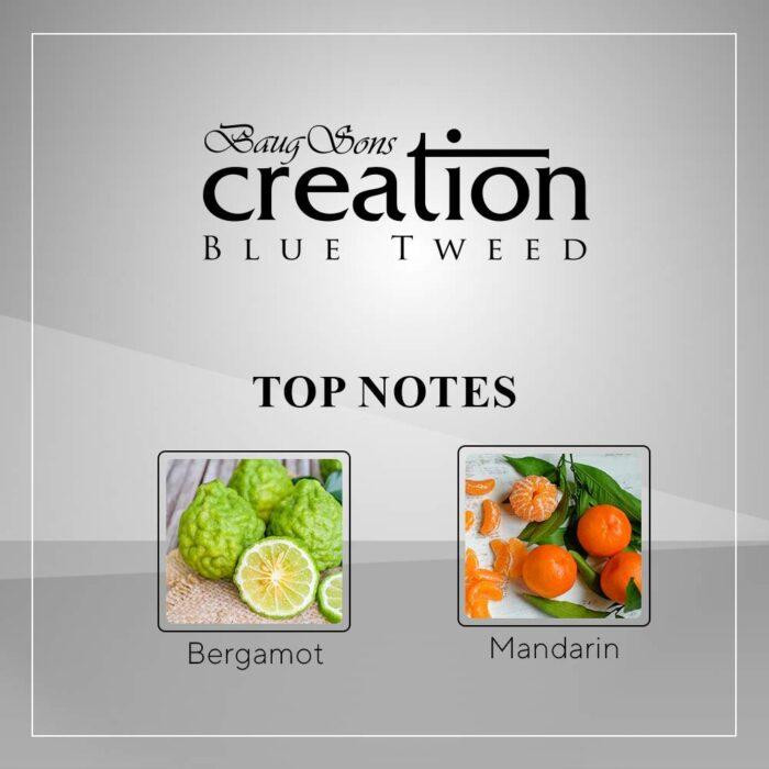 ادو پرفیوم مردانه باگ سانز مدل کریشن  حجم 100 میلی لیتر