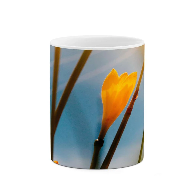 ماگ کاکتی مدل گل کد mgh16150