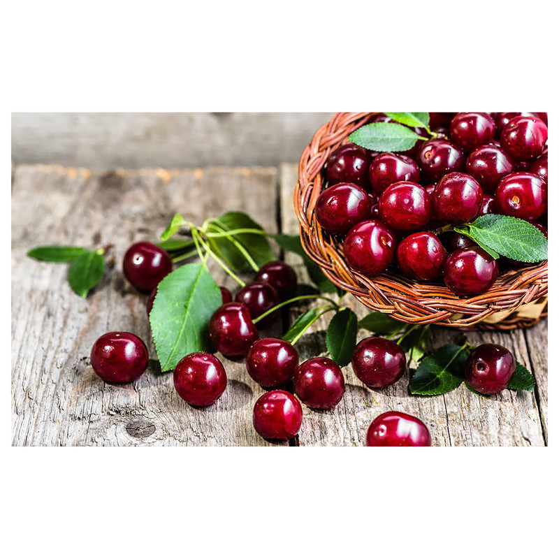 بذر آلبالو پاکوتاه آذر سبزینه مدل A178