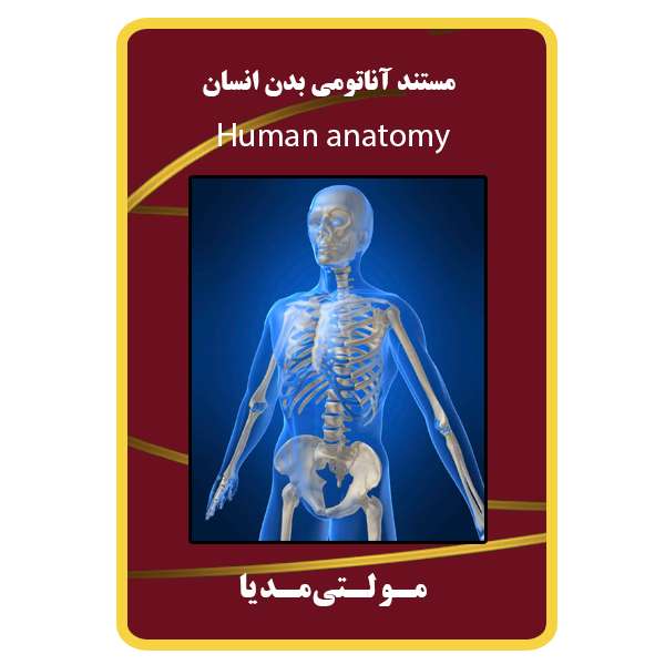 ویدئو آموزشی آناتومی بدن انسان نشر مبتکران ویدئو آموزشی آناتومی بدن انسان نشر مبتکران