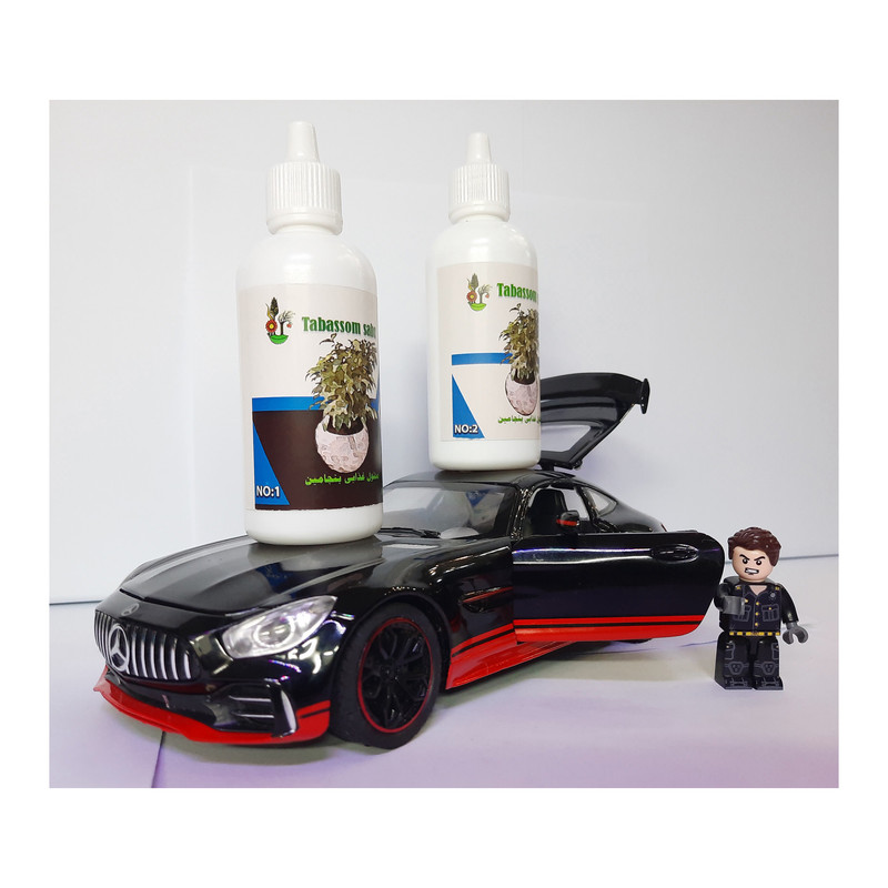 کود بنجامین مدل قطره چکان حجم 120 میلی لیتر بسته دو عددی