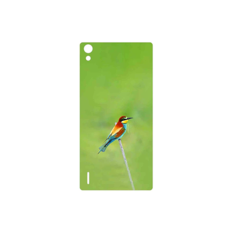برچسب پوششی ماهوت مدل European bee-eater مناسب برای گوشی موبایل هوآوی Ascend P7