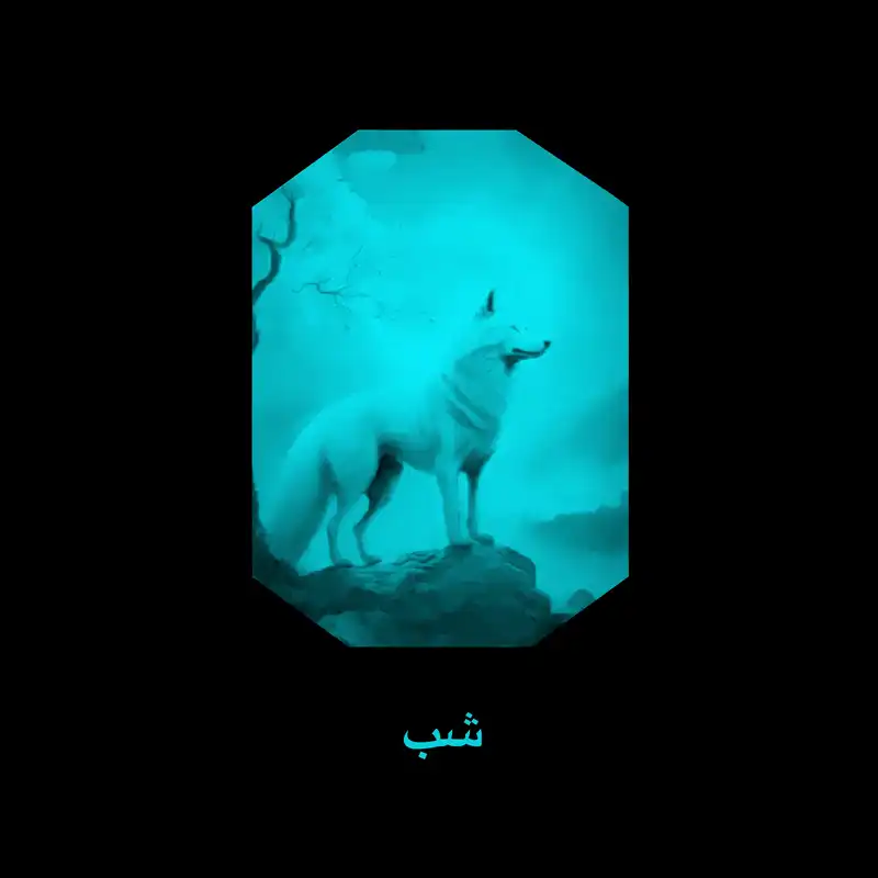 جاکلیدی مدل شب تاب BC102