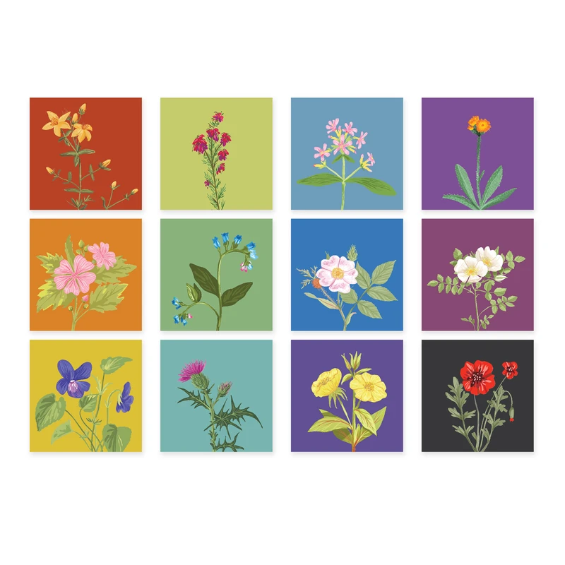 کارت پستال مدل گل‌های وحشی بسته ۱۲ عددی