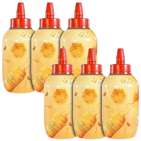 عسل طبیعی تک گل شهبال - 1000 گرم بسته 6 عددی