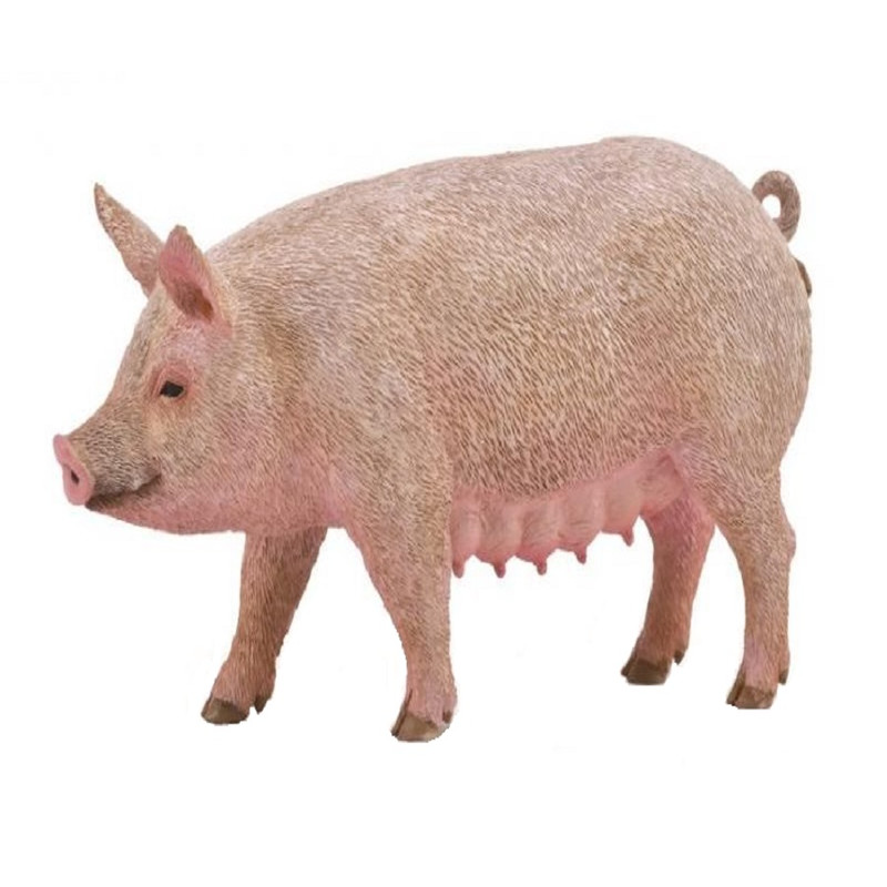 فیگور مدل خوک ماده