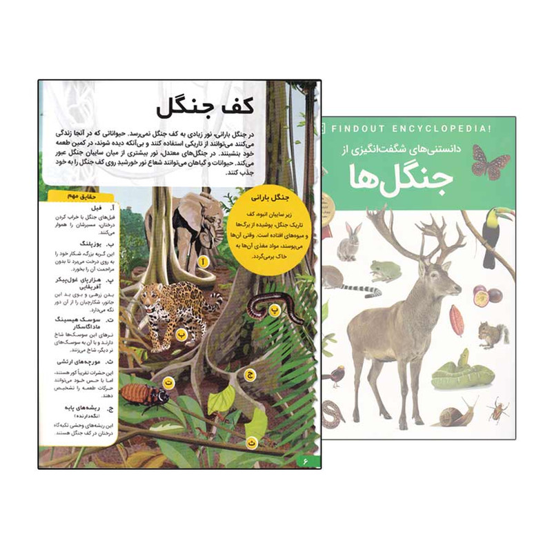 کتاب دانستنی های شگفت انگیزی از جنگل ها اثر کت هیکی انتشارات اعتلای وطن