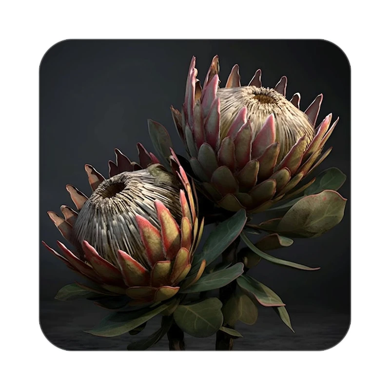 زیر لیوانی کاکتی طرح گل مدل mp16331