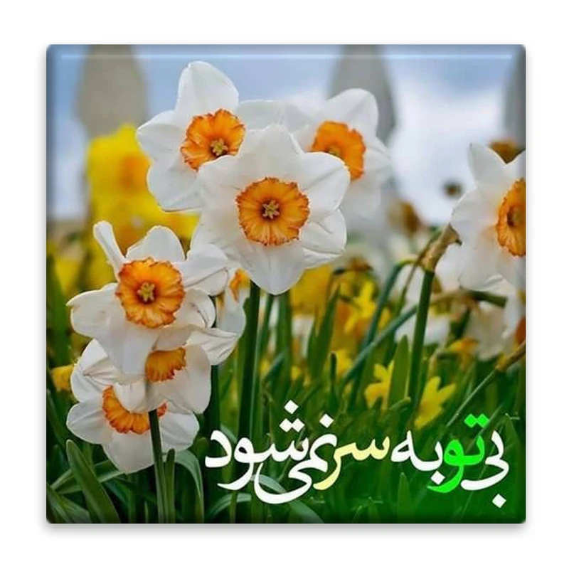 زیر لیوانی  مدل شعر و منظره کد    4801472_3525