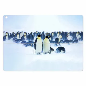 MAHOOT Penguin Cover Sticker for ASUS Transformer 3 Pro 2016