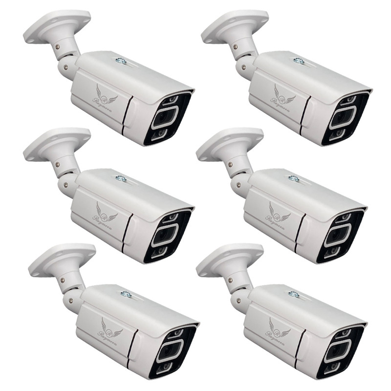 دوربین مداربسته AHD رایمون مدل 5 مگاپیکسل کد 8302 بسته شش عددی