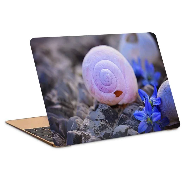استیکر لپ تاپ طرح shells flowers stones کد P-956 مناسب برای لپ تاپ 15.6 اینچ