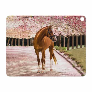 MAHOOT Horse-1 Cover Sticker for Apple iPad Pro 12.9 GEN 3 2018 A1876