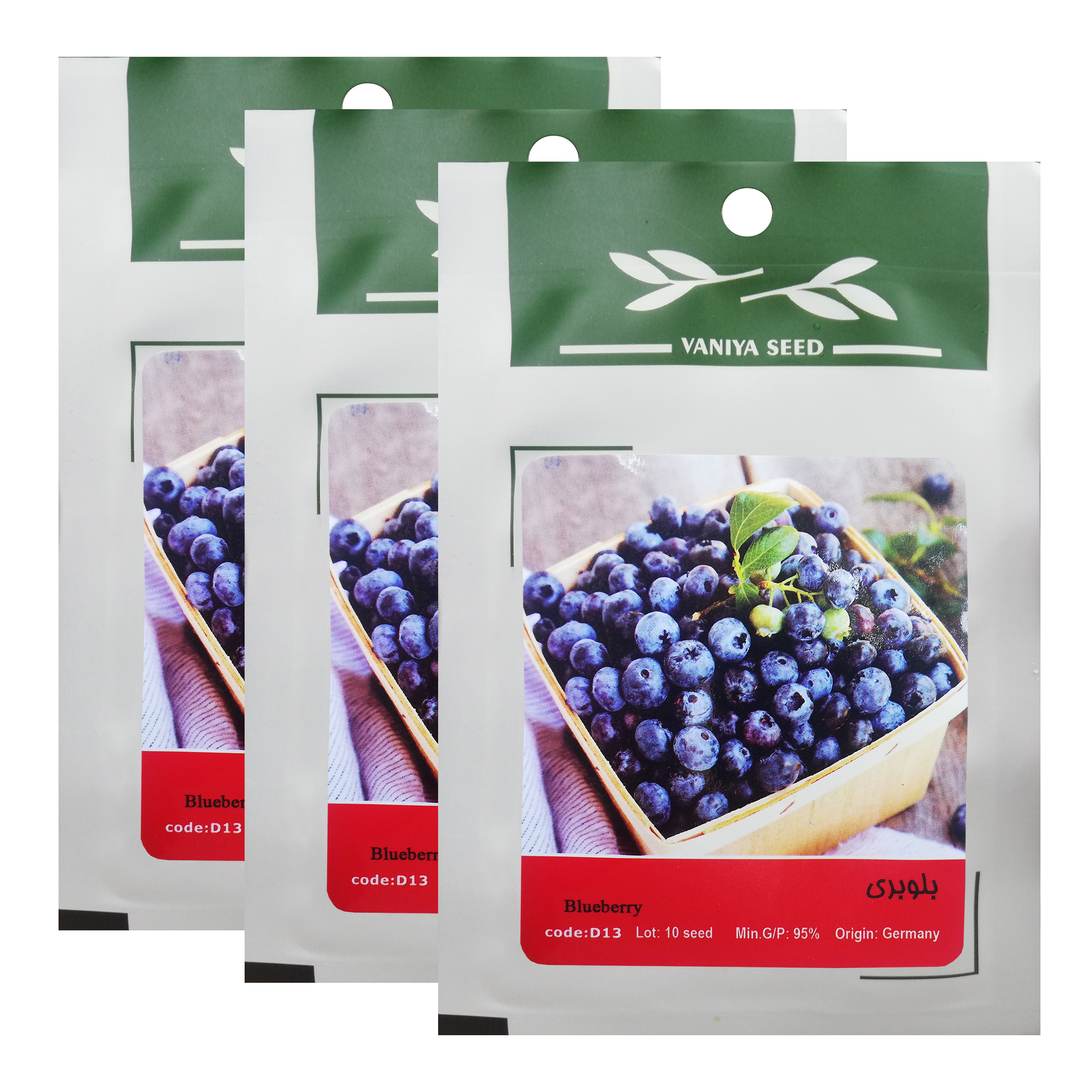بذر میوه بلوبری وانیا سید کد D13 مجموعه 3 عددی