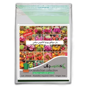 بذر سولکوریبوتیا کاکتوس میکس کاکتوسچی مدل AM-066