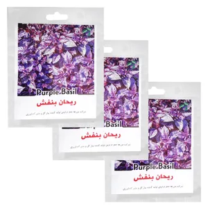 بذر ریحان بنفش گرین فارم کد RHNBN 22 بسته 3 عددی