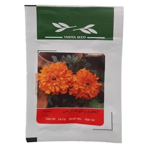 بذر جعفری پاکوتاه وانیا سید مدل 091