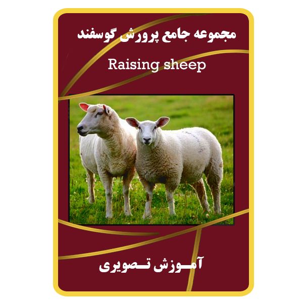 ویدئو آموزش پرورش گوسفند نشر مبتکران