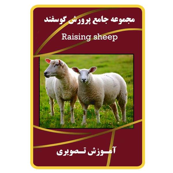 ویدئو آموزش پرورش گوسفند نشر مبتکران ویدئو آموزش پرورش گوسفند نشر مبتکران