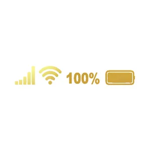  برچسب بدنه خودرو رایسان طرح Full battery کد SF100t 