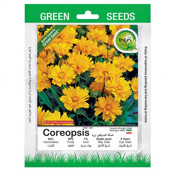 بذر شاه اشرفی زرد گیلدا کد 814 بذر شاه اشرفی زرد گیلدا کد 814