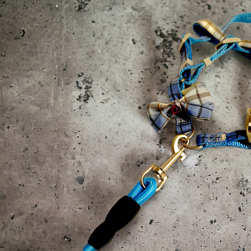 بند قلاده و قلاده سگ و گربه مدل L82B