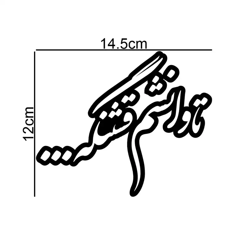 برچسب بدنه خودرو طرح تاوانشم قشنگه... کد MT-B429