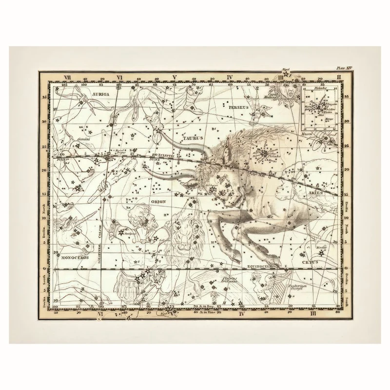 پوستر مدل صورت فلکی زودیاک گاو نر 