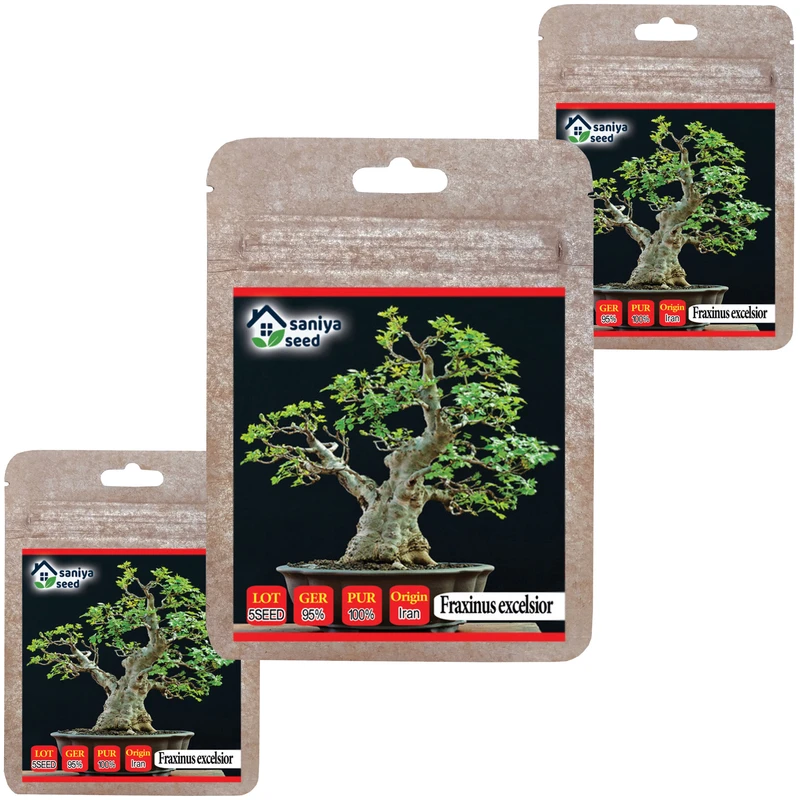 بذر بنسای زبان گنجشک سانیا سید مدل B17 مجموعه 3 عددی