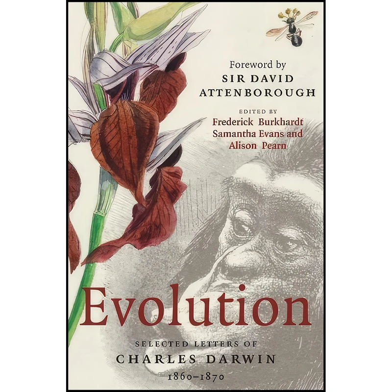 کتاب Evolution اثر جمعي از نويسندگان انتشارات Cambridge University Press