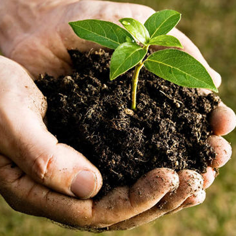 کود NPK  مشیانه مدل n10 وزن 25 گرم