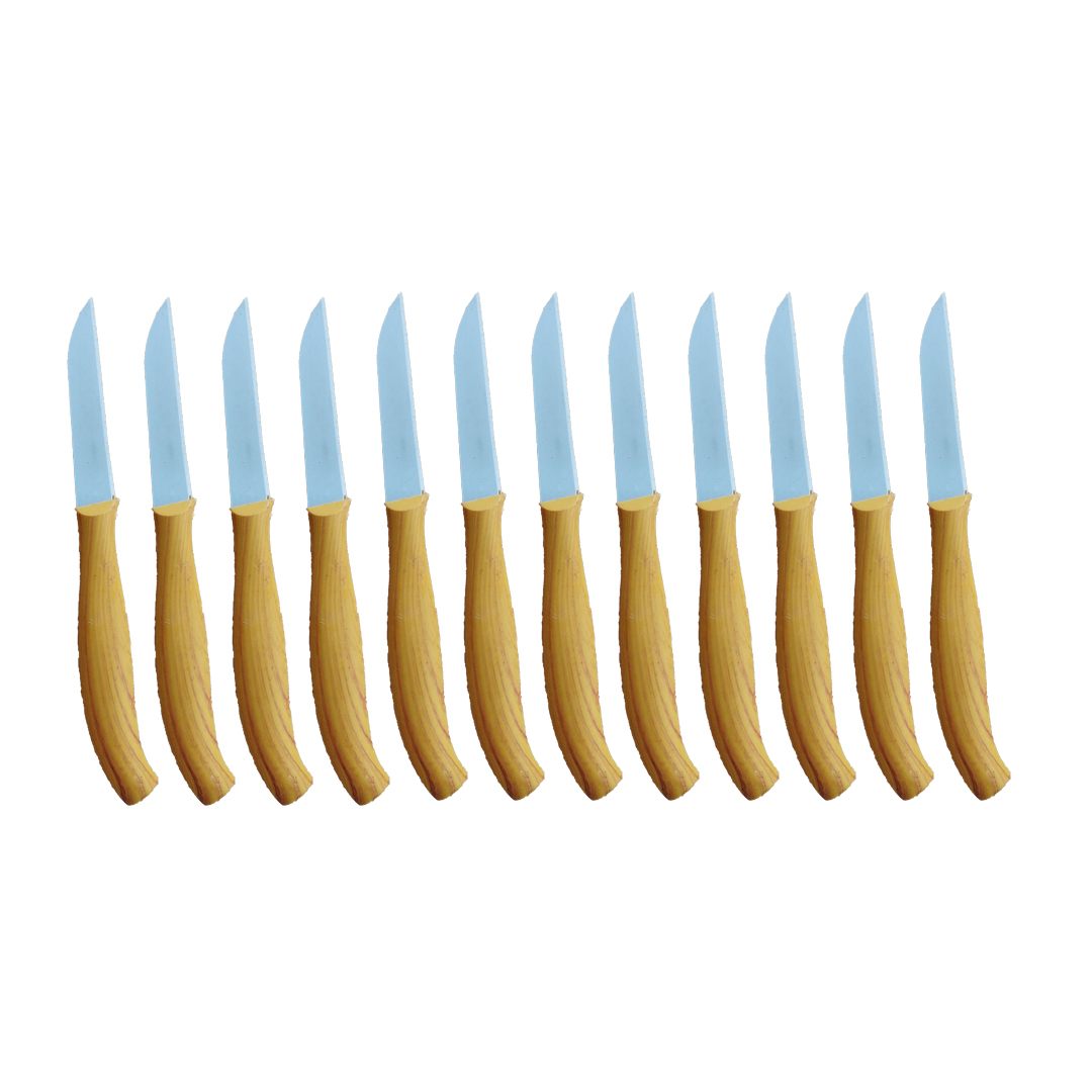 کارد میوه خوری مدل 3000 بسته 12 عددی