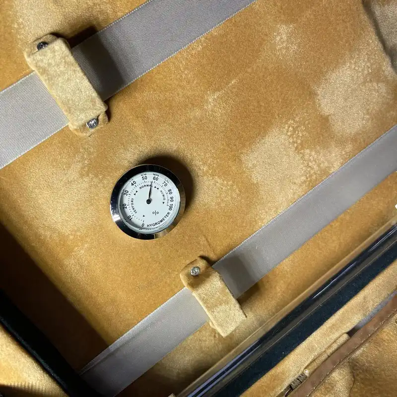 هاردکیس ویولن مدل MS کد 03