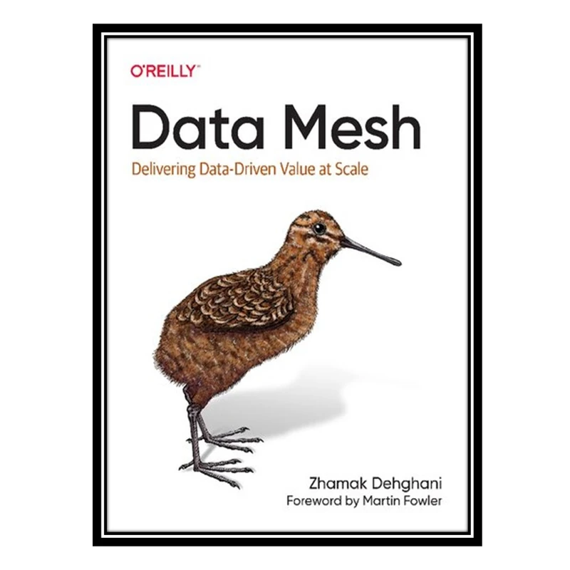 کتاب Data Mesh: Delivering Data-Driven Value at Scale اثر Zhamak Dehghani انتشارات مؤلفین طلایی