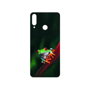 MAHOOT Frog Cover Sticker for LG W30