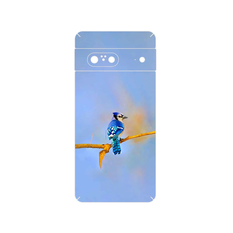 برچسب پوششی ماهوت مدل Cyanocitta cristata مناسب برای گوشی موبایل گوگل Pixel 7