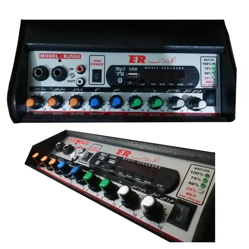 اکو همراه اکوروژان مدل RJ55W به همراه میکروفن بی سیم