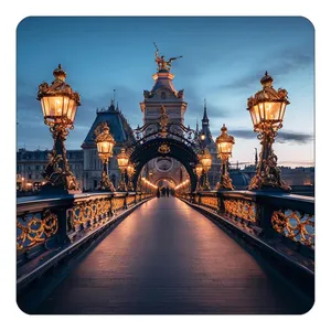 مگنت کاکتی طرح پاریس Paris مدل mp58890